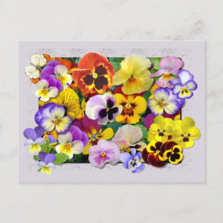 PANSY PATCHWORK BRIEFKAART