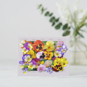 PANSY PATCHWORK BRIEFKAART (Staand voorkant)