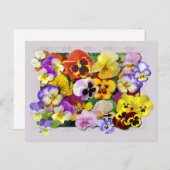 PANSY PATCHWORK BRIEFKAART (Voorkant / Achterkant)