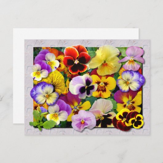 PANSY PATCHWORK BRIEFKAART (Voorkant / Achterkant)