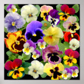 PANSY PATCHWORK ~ PRINT/POSTER POSTER (Voorkant)