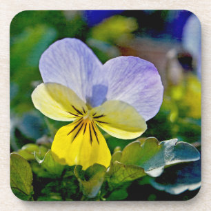 Pansy Perfection Drankjes Onderzetter