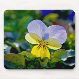 Pansy Perfection Muismat