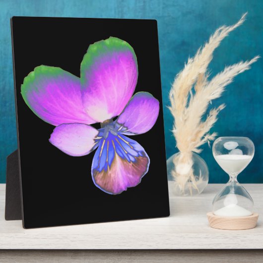  Pansy Plaque Fotoplaat (Zijkant)