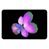 Pansy Premium Magnet Magneet (Horizontaal)