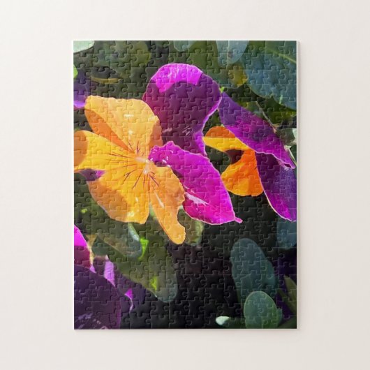Pansy Puzzel Oranje en Paars (Verticaal)