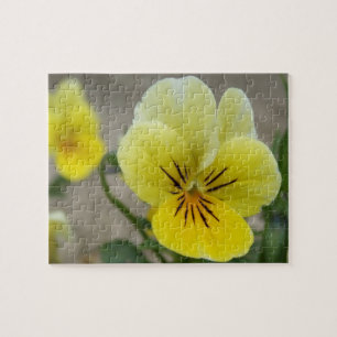 Pansy Puzzle Legpuzzel