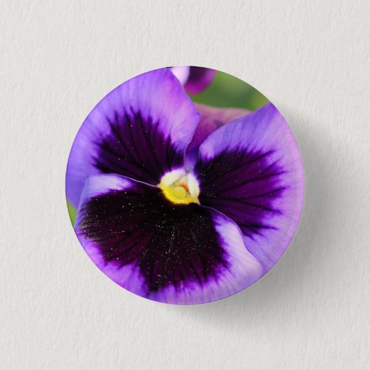 Pansy Ronde Button 3,2 Cm (Voorkant)