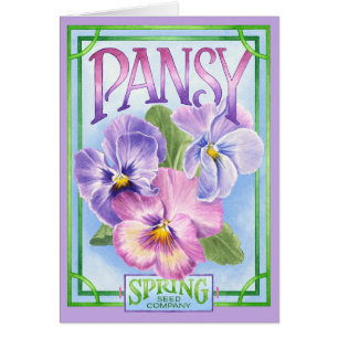 Pansy Seeds - Blank Kaart
