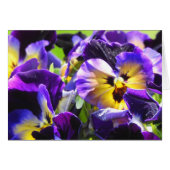 Pansy Small Hartelijk-dank kaarten, klein (4 x 5,6 (Voorkant Horizontaal)