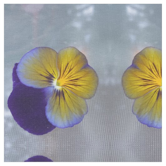 Pansy  Spring Stof (Close Up)