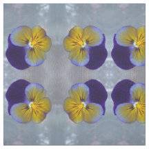 Pansy  Spring