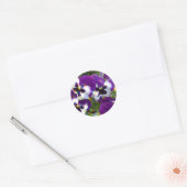 Pansy Sticker (Envelop)