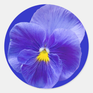 Pansy Stickers
