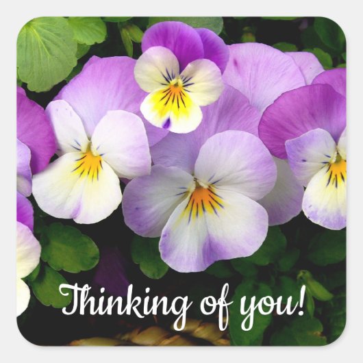 Pansy Thinking of You Vierkante Sticker (Voorkant)