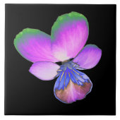 Pansy Tile Tegeltje (Voorkant)