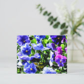 Pansy uit Home Depot Briefkaart (Staand voorkant)