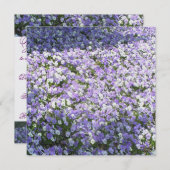 Pansy Uitnodiging (Voorkant / Achterkant)