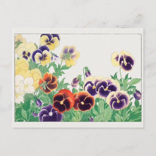 Pansy van Tanigami Konan Briefkaart (Voorkant)