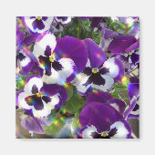 Pansy vierkante magneet (Voorkant)