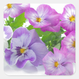 pansy vierkante sticker