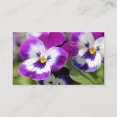 Pansy Visitekaartje (Achterkant)
