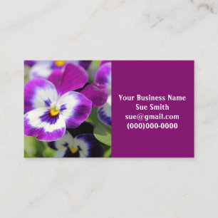 Pansy Visitekaartje