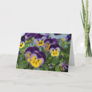 Pansy Wenskaart Kaart