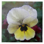 Pansy White en Yellow Tile Tegeltje (Voorkant)