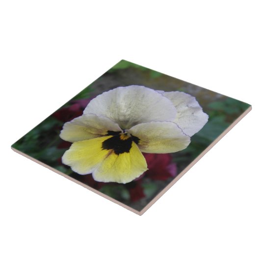 Pansy White en Yellow Tile Tegeltje (Zijkant)