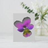 Pansy Wild Dark Paars Briefkaart (Staand voorkant)