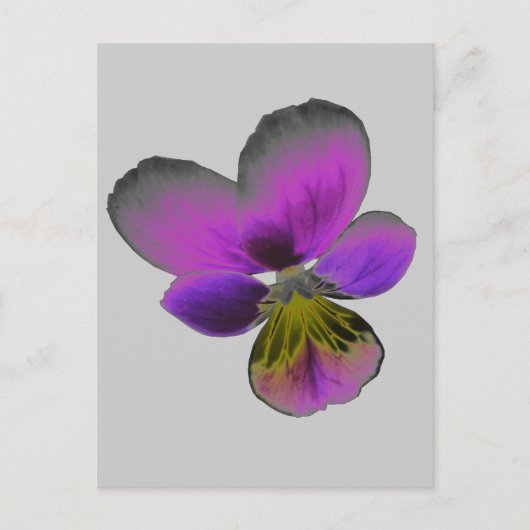Pansy Wild Dark Paars Briefkaart (Voorkant)