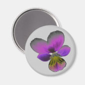 Pansy Wild Dark Paars Magnet (Voorkant / Achterkant)