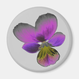 Pansy Wild Dark Paars Magnet