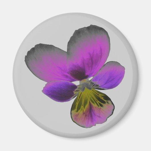 Pansy Wild Dark Paars Magnet (Voorkant)