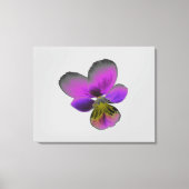 Pansy Wild Dark Paarse Canvas Print (Voorkant)
