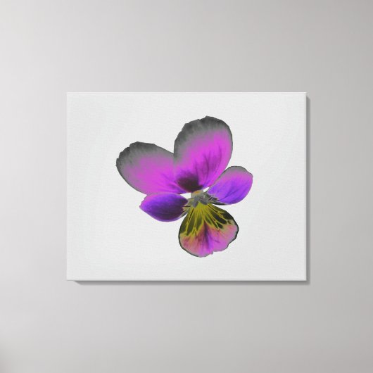 Pansy Wild Dark Paarse Canvas Print (Voorkant)