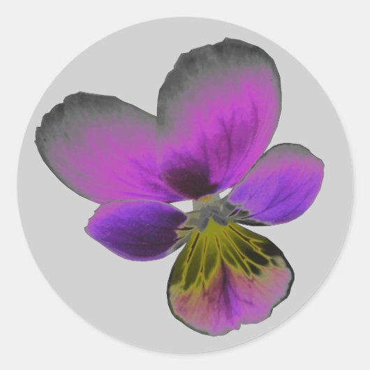 Pansy Wild Dark Paarse Sticker (Voorkant)