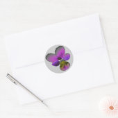 Pansy Wild Dark Paarse Sticker (Envelop)