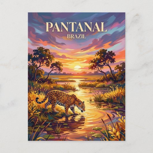 Pantanal Brazil Briefkaart (Voorkant)