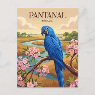 Pantanal Brazilië Briefkaart