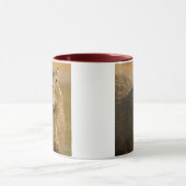 Pantanal, Brazilië, Capybara, Hydrochoerus Mok (Midden)