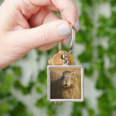 Pantanal, Brazilië, Capybara, Hydrochoerus Sleutelhanger (Hand)