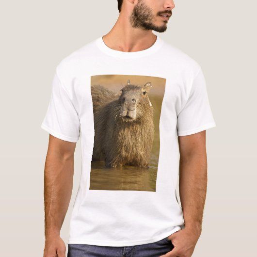 Pantanal, Brazilië, Capybara, Hydrochoerus T-shirt (Voorkant)
