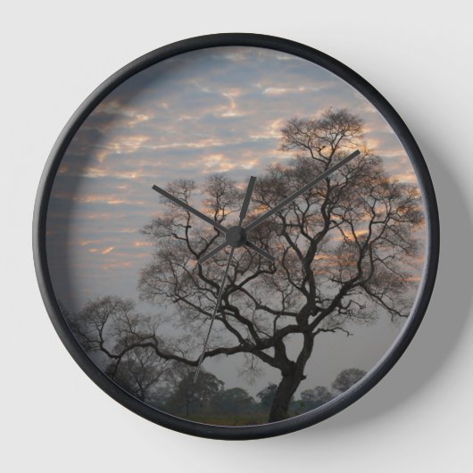 Pantanal Wetlands | Zuid-Amerika, Brazilië (Voorkant)