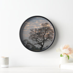 Pantanal Wetlands   Zuid-Amerika, Brazilië