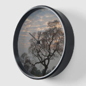 Pantanal Wetlands | Zuid-Amerika, Brazilië (Hoek)