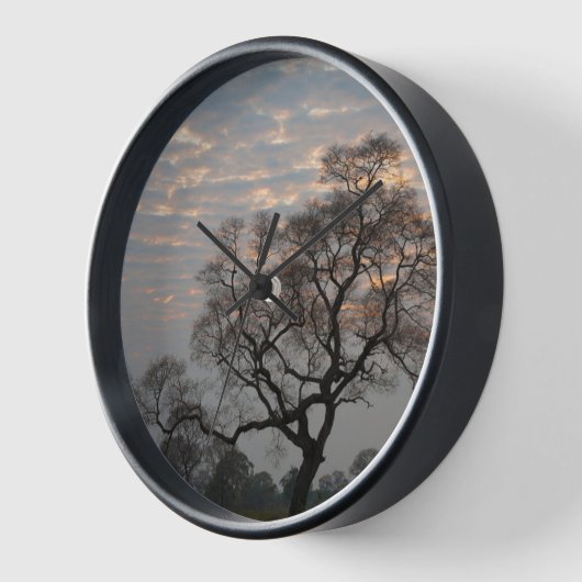 Pantanal Wetlands | Zuid-Amerika, Brazilië (Hoek)