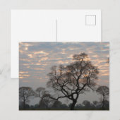 Pantanal Wetlands | Zuid-Amerika, Brazilië Briefkaart (Voorkant / Achterkant)