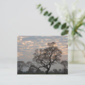 Pantanal Wetlands | Zuid-Amerika, Brazilië Briefkaart (Staand voorkant)